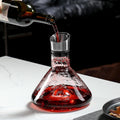 Iceberg Wine Decanter with Aerator Filter and Lid